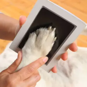 Pet and Baby Safe Touch Ink Pad